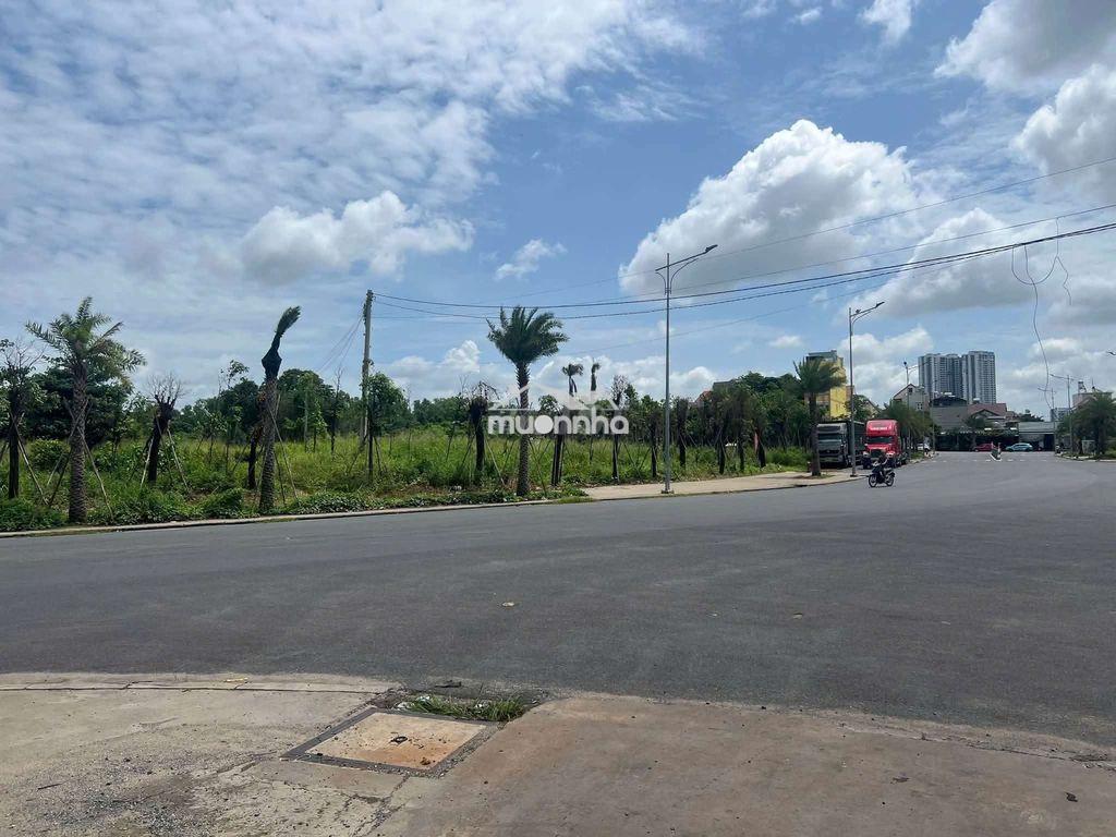 Xưởng mỹ phước, đất 4000m xưởng 1600m giá 60 triệu - 4