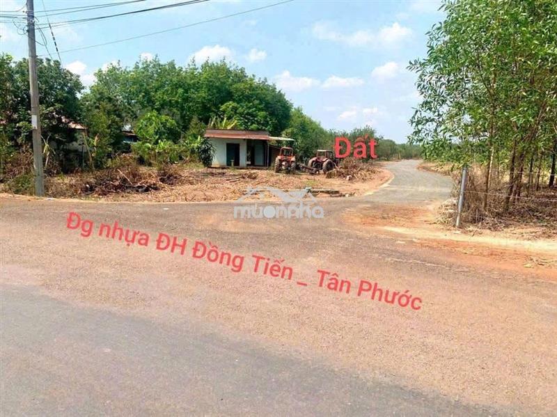 Ra nhanh nhà vườn góc 2mt  1103m2 sẵn 100m2 thổ cư, sẵn bưởi, mít