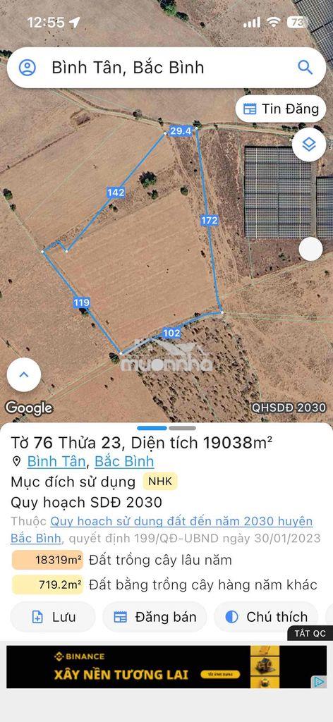 Bán 19.000m2 đất trồng cây xã bình tân, huyện bắc bình, bình thuận - Ảnh 4