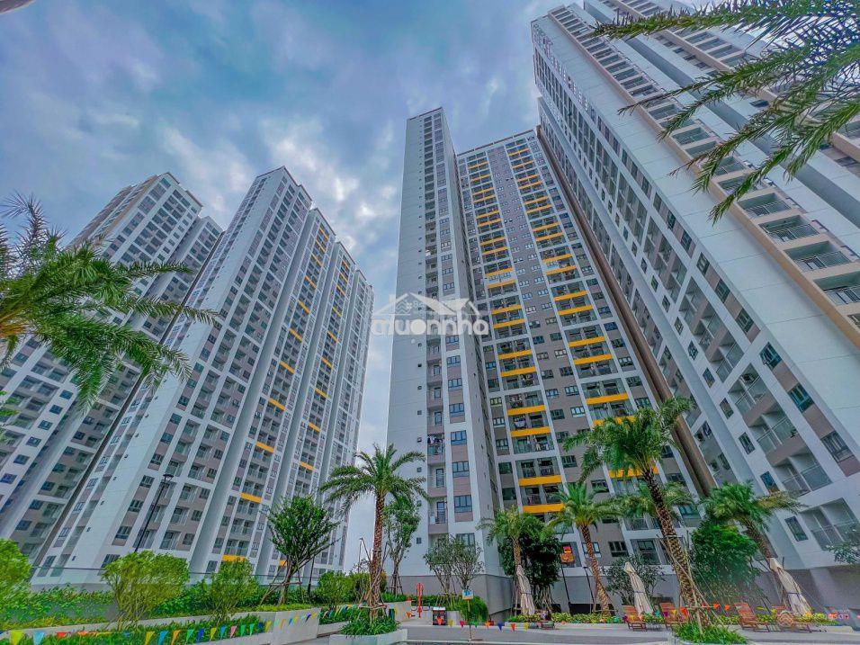 Cho thuê căn hộ 1-2-3pn q7 saigon riverside số 4 đào trí nhà mới - 3