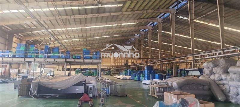 Cho thuê xưởng quốc lộ 13 thuận ab