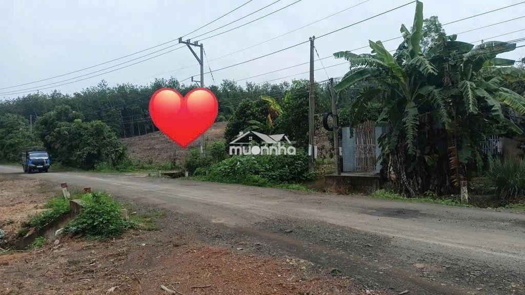 1000m2 có 500m thổ cư. đường nhựa gần trung tâm khu công nghiệp - 2
