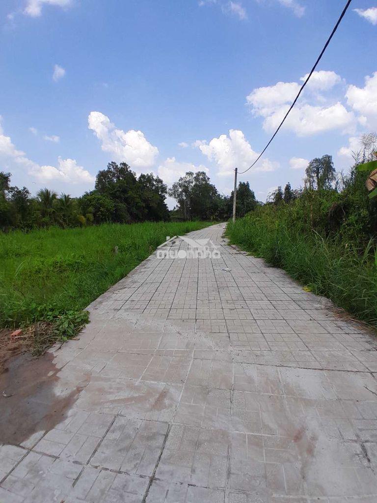 Cần bán miếng đất cây lâu năm - 4
