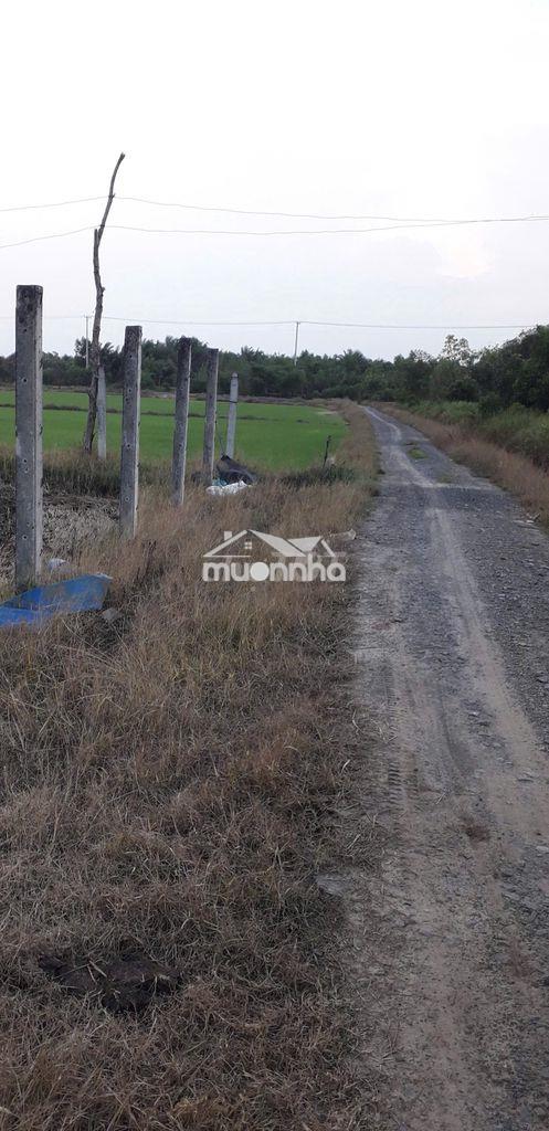 Bán đất nông nghiệp chính chủ