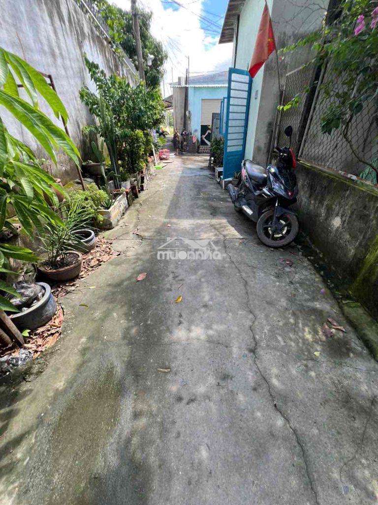 🔥Cg căn nhà cấp 4 - giáp mt đỗ văn dậy hocmon, dt 95m2 (5*19) , 4,1 tỷ - Ảnh 4