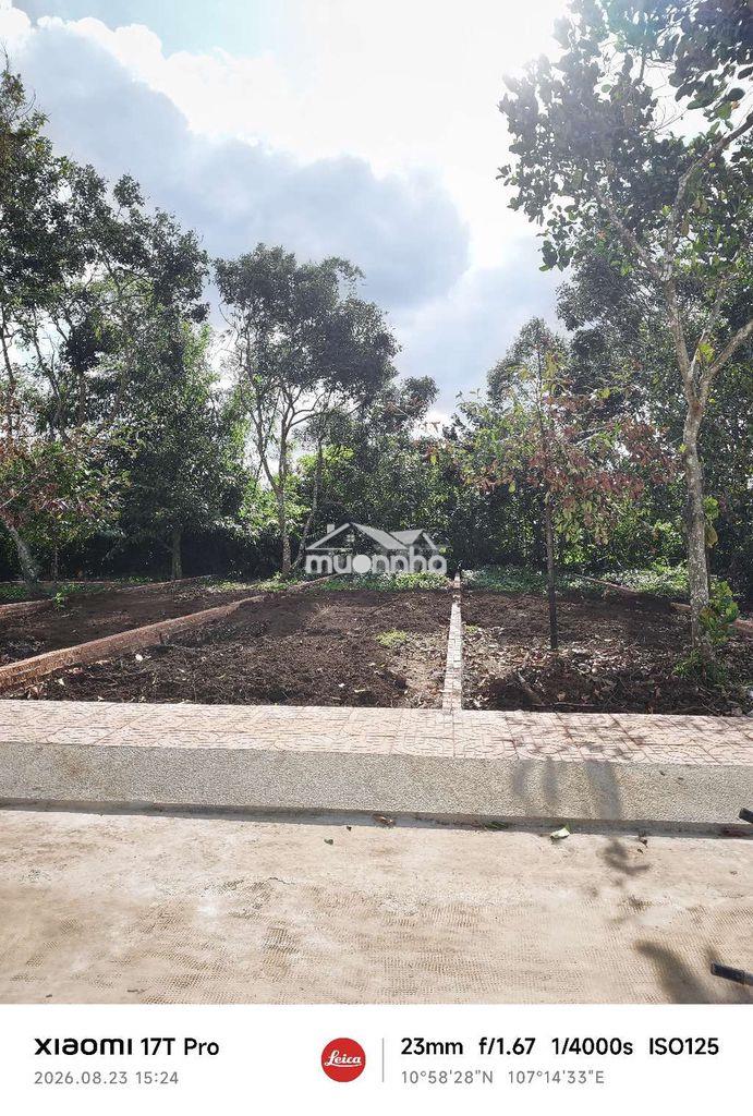 Đất nền p. bình lộc đường bê tông rộng 16m với 135m2 thổ cư sổ riêng - 2