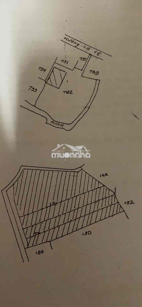 Toi càn bán nhà chính hẻm rọng thoán mát cách duòng lón 1 can - Ảnh 4
