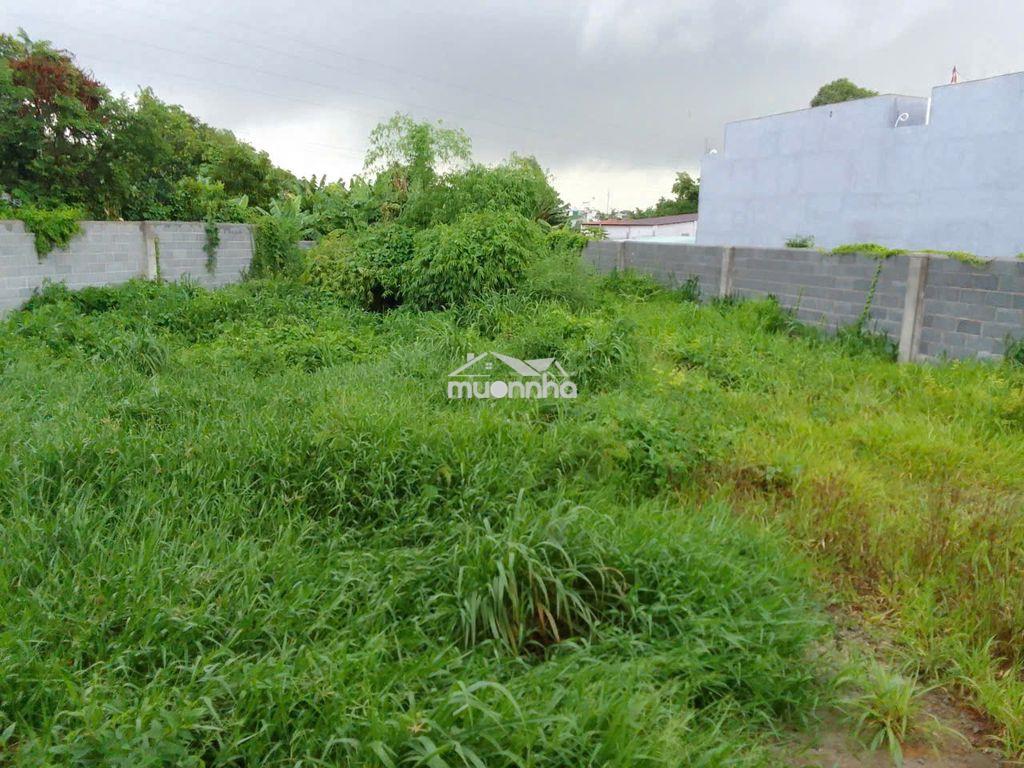 Bán đất 529m2 ở biên hòa, giá 3.3 tỷ, sổ hồng riêng - 4