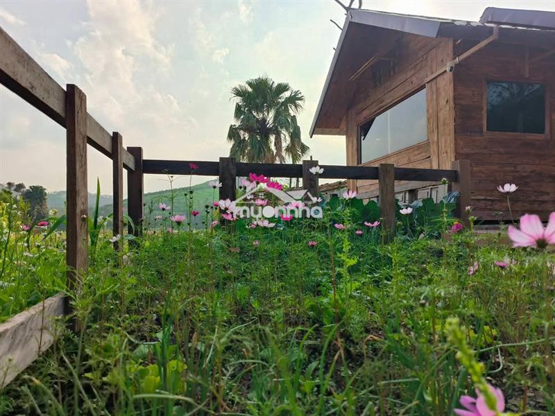 🌊 🌿Đất vườn gần hồ trị an 2.000m² – 990 triệu, nghỉ dưỡng lý tưởng🌿