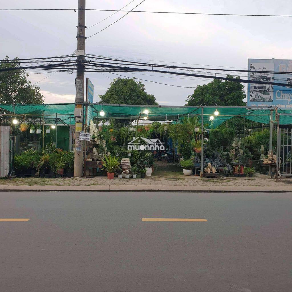 Nhà thuê 4*12 gác lửng đường võ văn vân vĩnh lộc b bình chánh - 3
