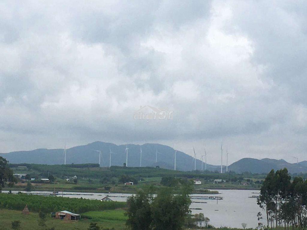 Bán gấp gần 4 xào đất rẫy, xã xuân an, an khê, gia lai - 2