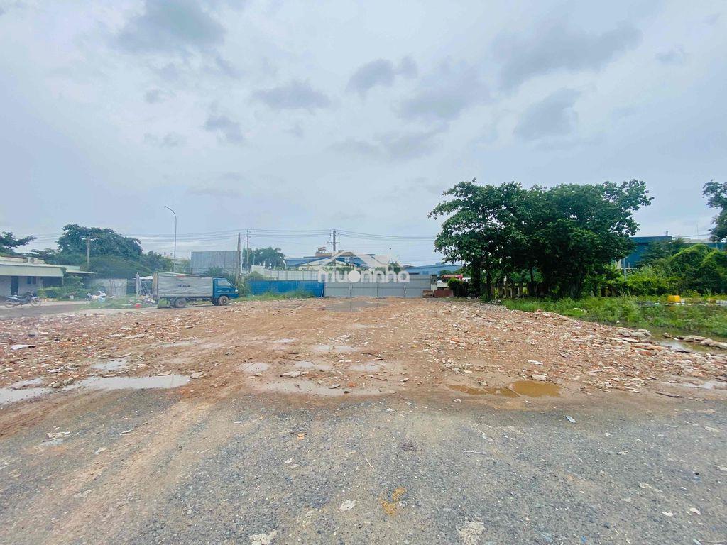 Cho thuê đất trống hơn 1000m2 mặt tiền đường đào trí quận 7 - Ảnh 4