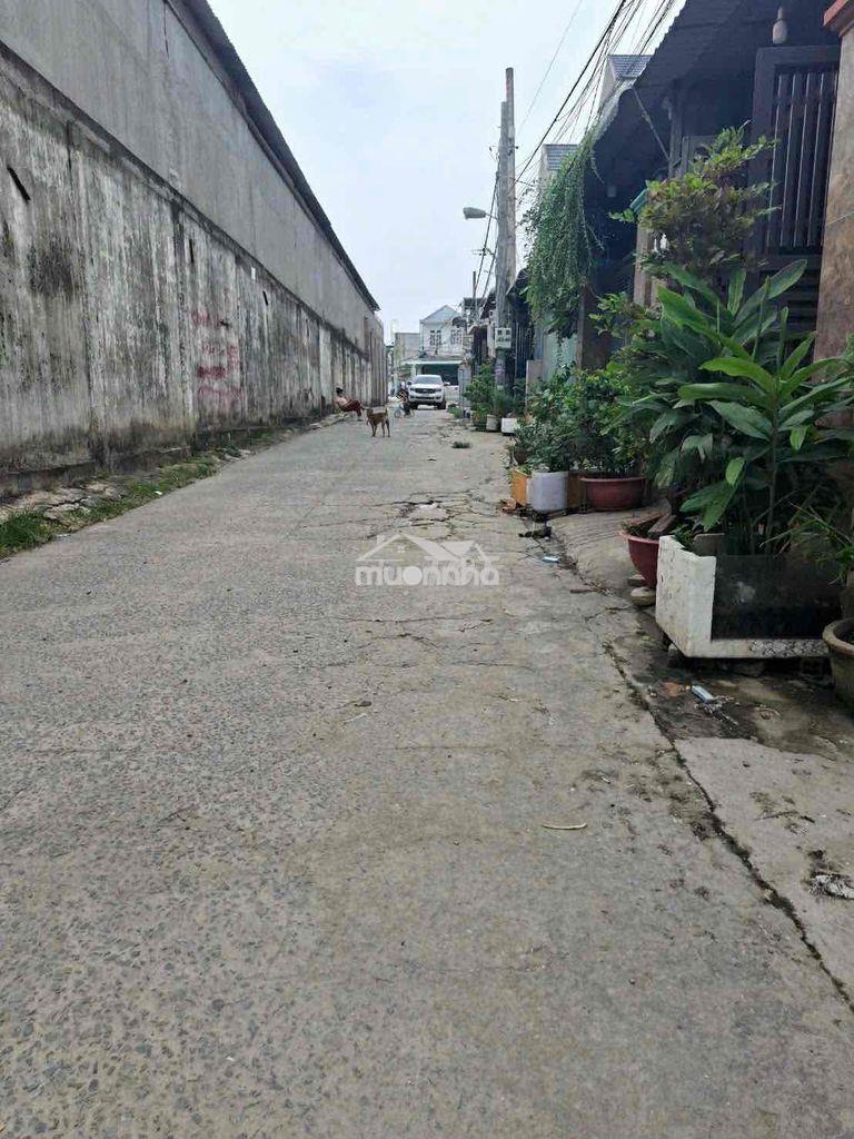 Cho thue nha nguyen can - 3