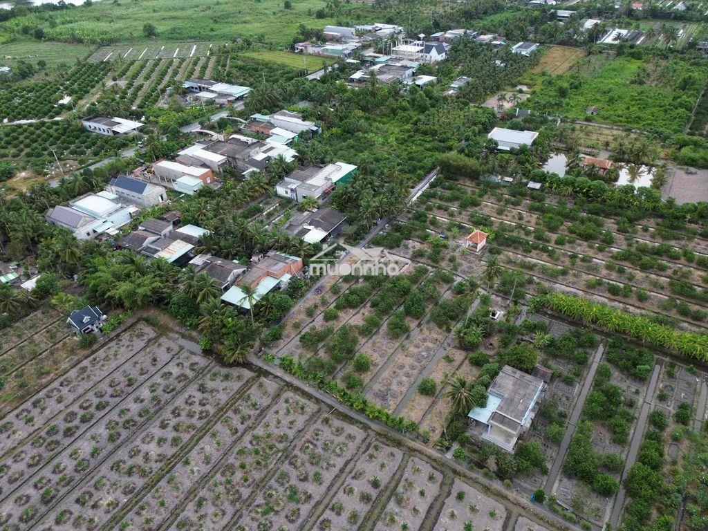 Bán nền thổ 5x39(195m2). ấp 5 thạnh hoà. đất cách nhựa 100mét - 3