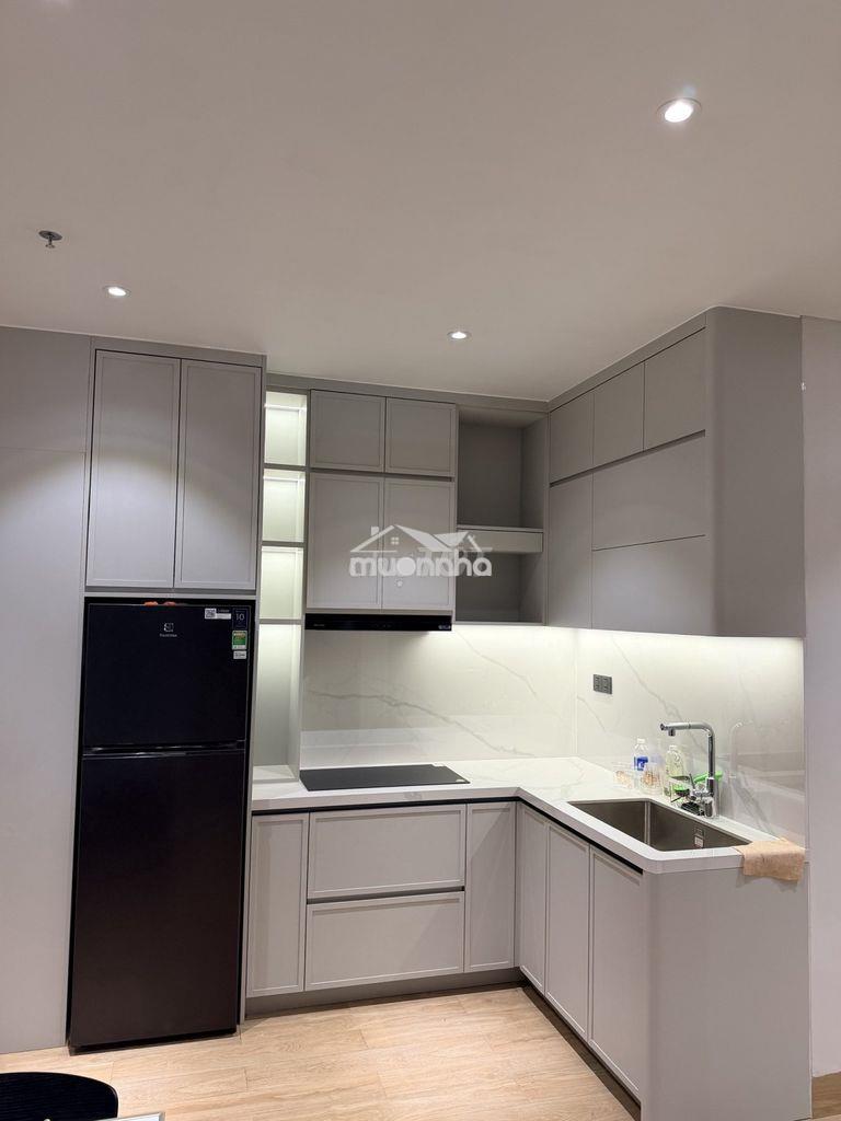 Cho thuê căn hộ 1pn+ panoma 2 | view trực diện sông hàn - Ảnh 4