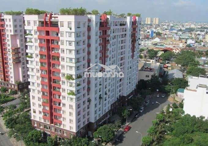 Cho thuê căn hộ chung cư thái an 3