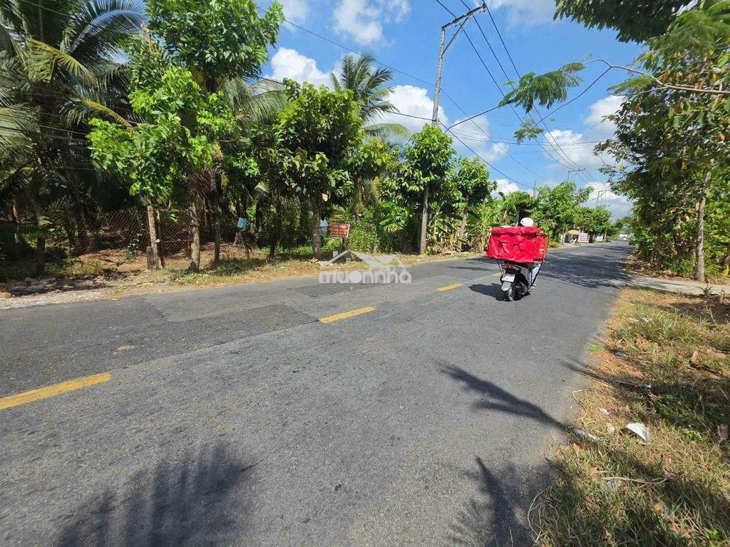 Nền mặt tiền đường vành đai có thổ cư - 4