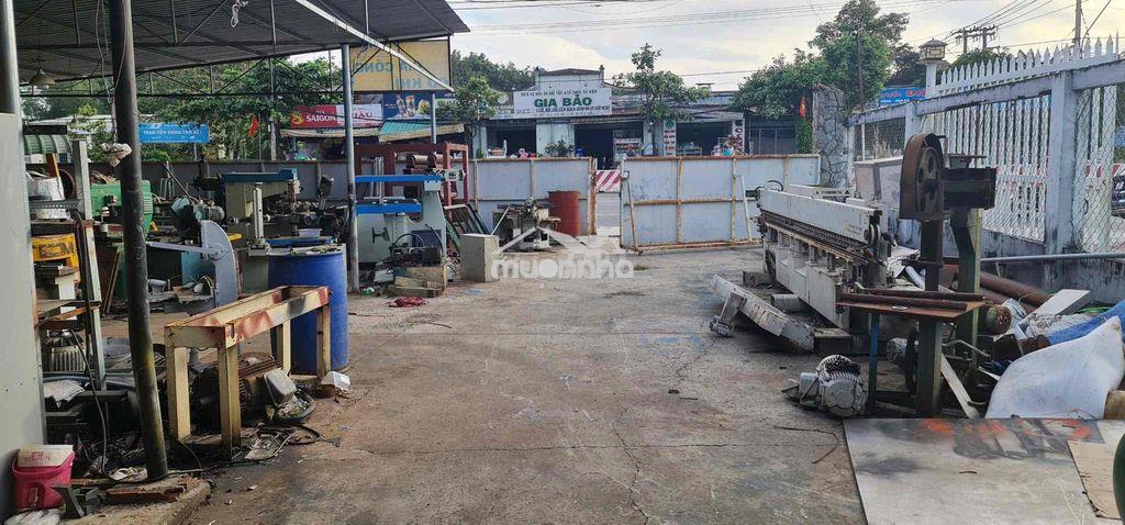 Bán đất tặng nhà xưởng 2.000m mặt tiền đường đại lộ bình dương - Ảnh 3