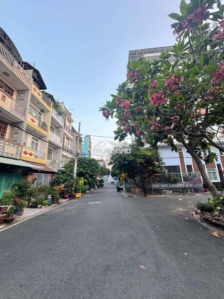 Hẻm xe tải tân hoà đông view công viên 4x20 vuông vức chỉ 6,6 tỷ - Ảnh 2