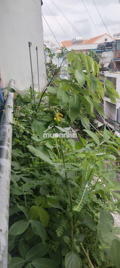 Cho thuê căn hộ 44m2 ban công xanh dọn vào ở ngay - giá 6,5 triệu/th - Ảnh 2