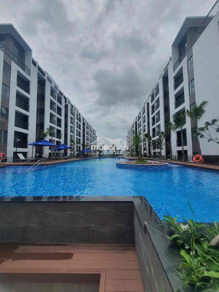 Chung cư xã hội được trợ giá của nhà nước đã hoàn thiện - Ảnh 4