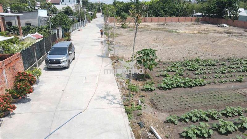 Đất phú hòa đông chính chủ