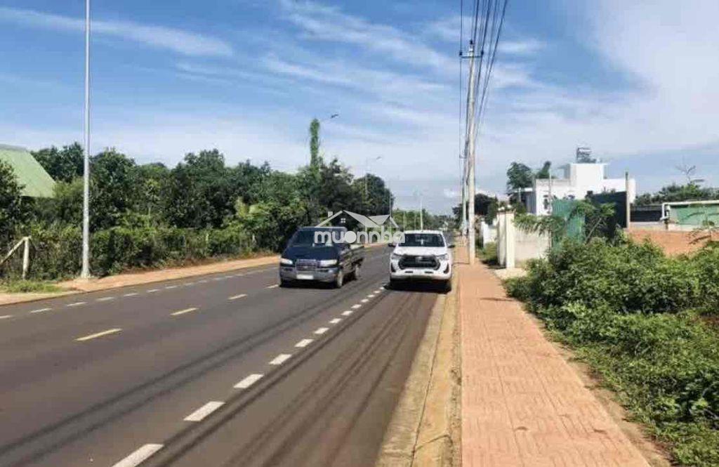 Mặt tiền mai thị lựu - Ảnh 3