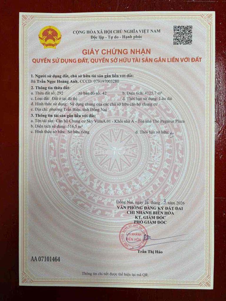 Can ban gap - Ảnh 2