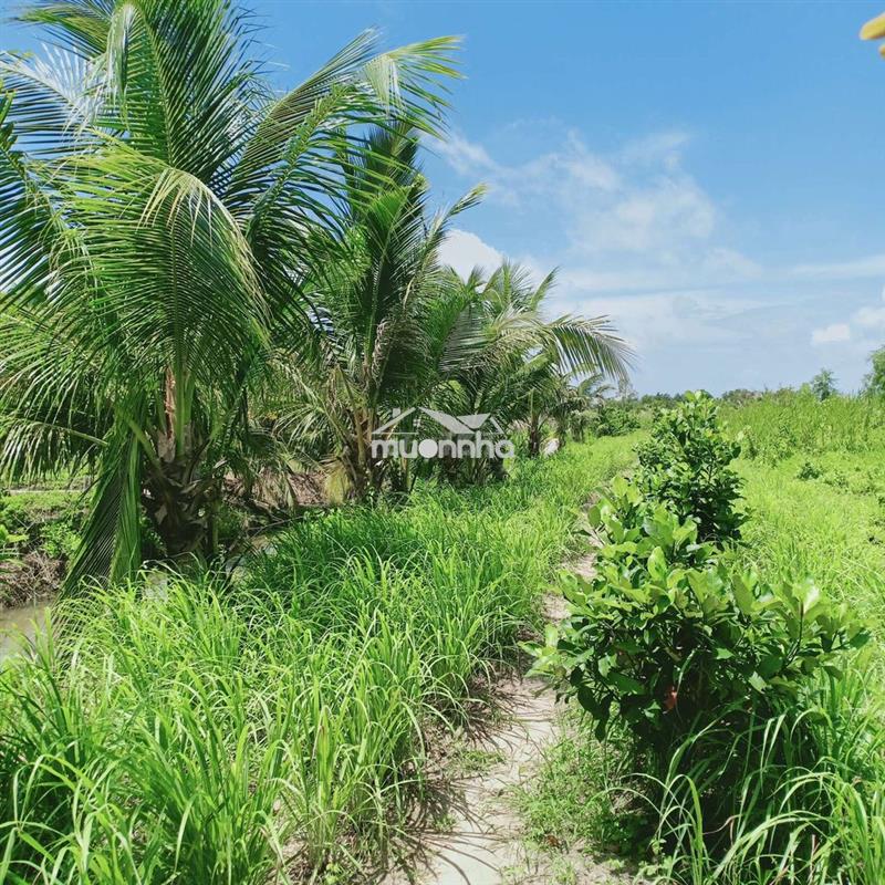Bán 4543 m vuông đất dự án mở rộng tp rạch giá