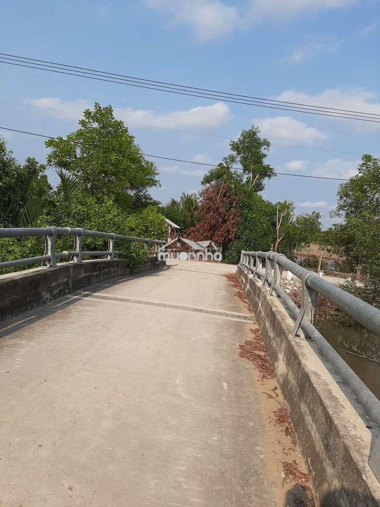 Đất cần giờ - 3