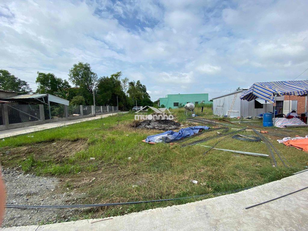 Đất thổ cư chính chủ sổ sẵn cách bình tân 30 phút - Ảnh 2