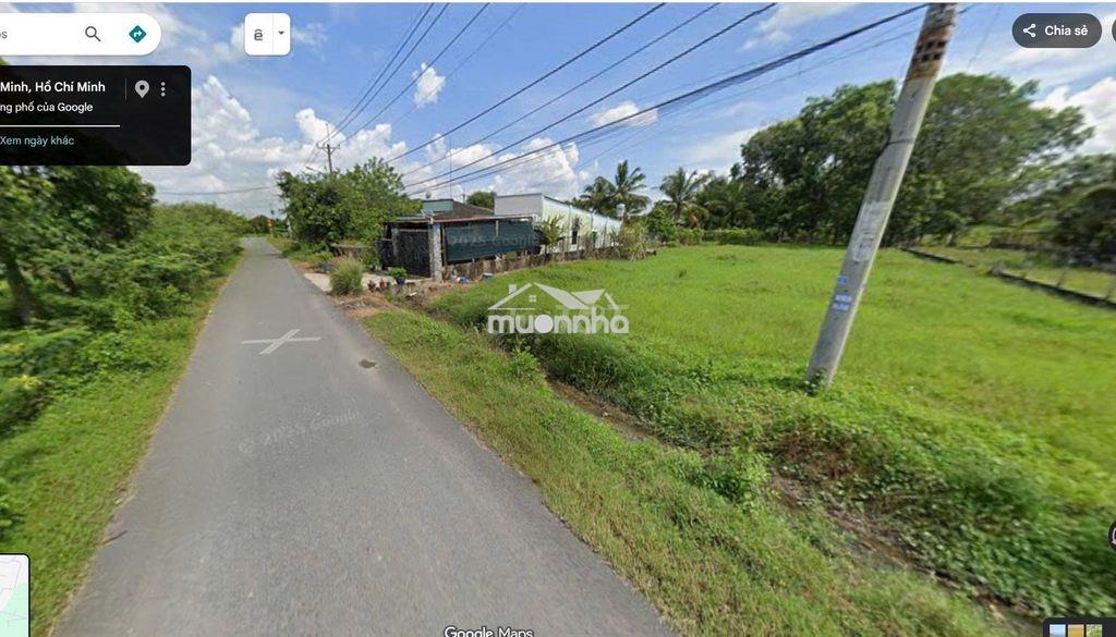 Cần bán lô đất 1030,5m² (đã có thổ cư 154,5m²) tại trung lập hạ,củ chi - Ảnh 2