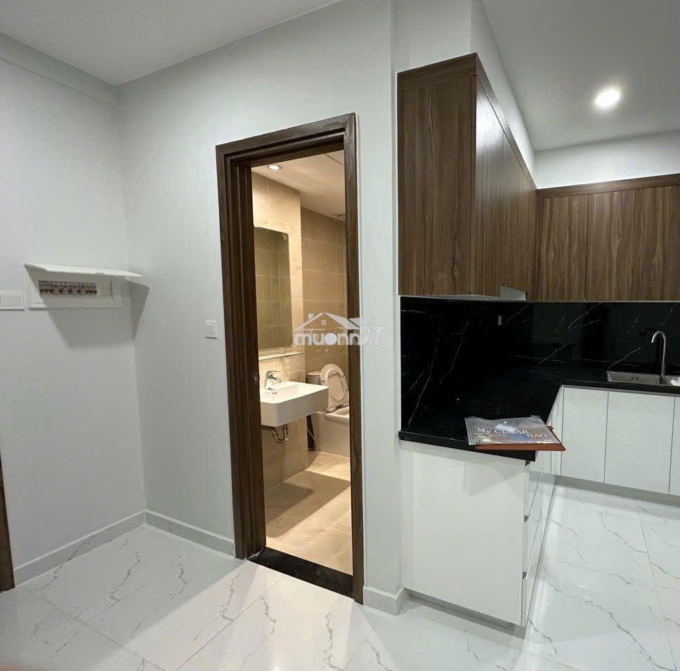 Cắt lỗ nhanh căn hộ studio 1ty355 sẵn sổ tại opal skyline thuận an - Ảnh 3