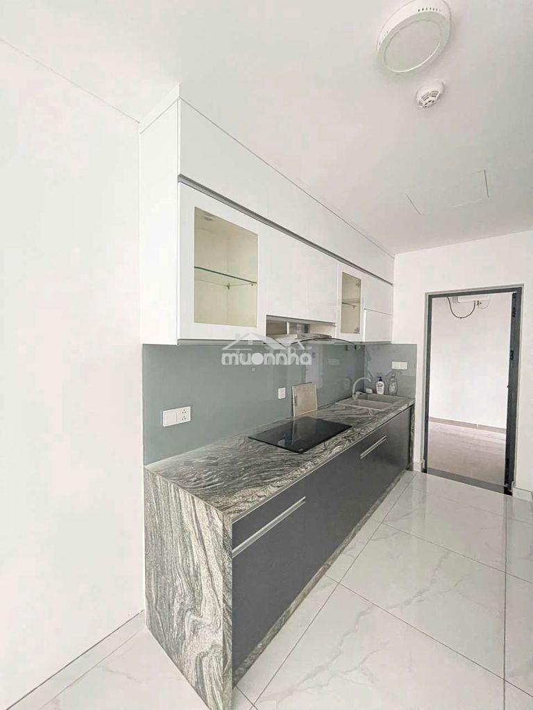 Cho thuê diamond alnata, nội thất cơ bản, nhà trống ở ngay - Ảnh 2