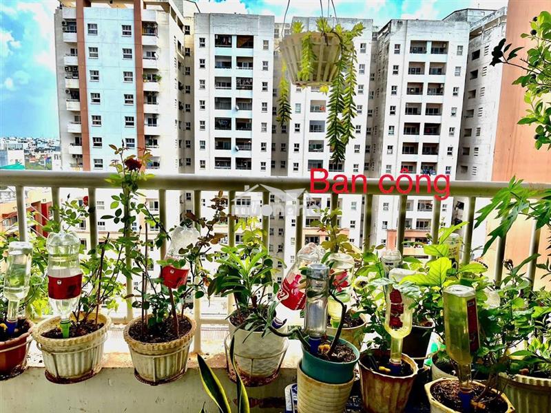 Bán căn hộ chung cư bàu cát 2 (tân bình) – 70m² (2pn, 2wc) – 4 tỷ