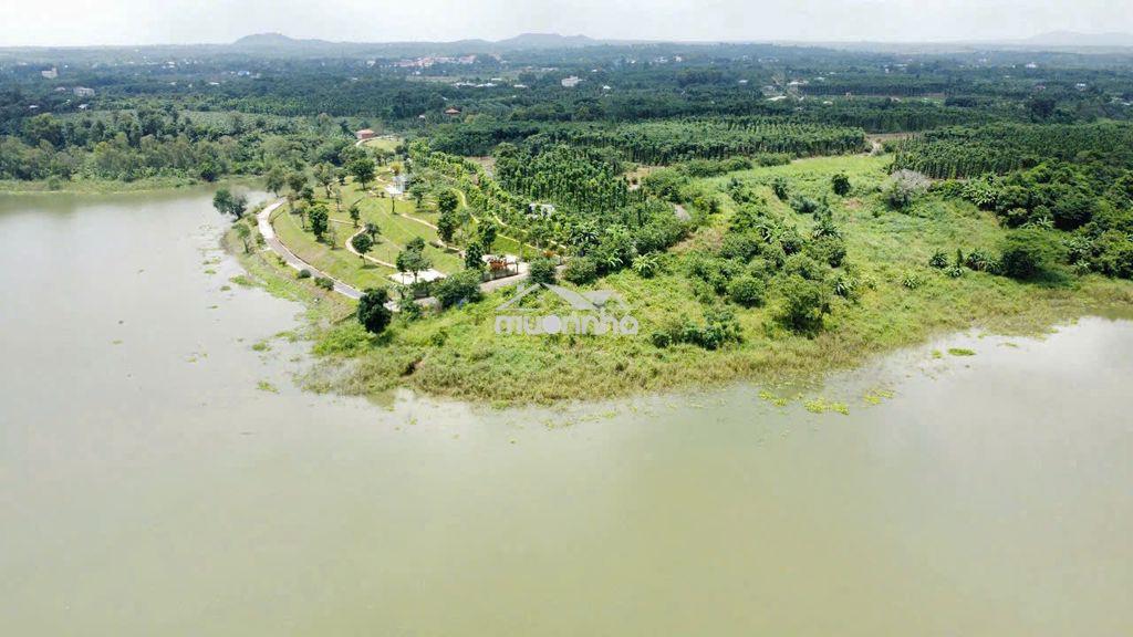 Đất mặt hồ sông ray – lâm san | 6.600m² – 4 thửa | giá chốt 13,2 tỷ - Ảnh 4