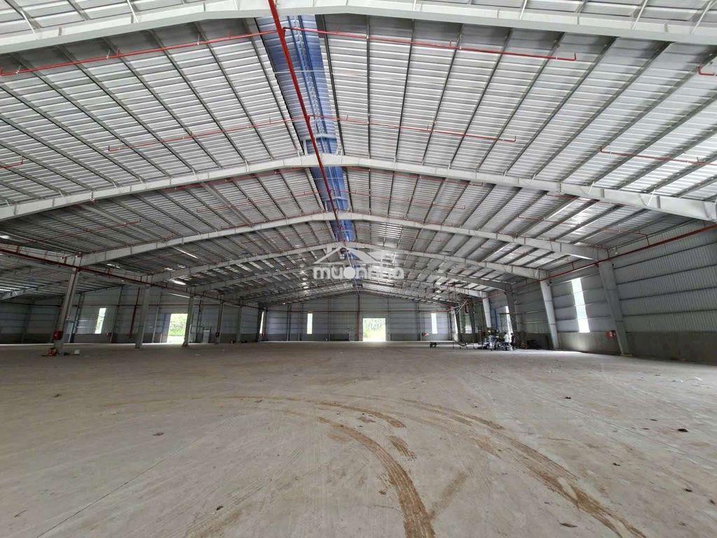 Cho thuê xưởng ở phước hòa , phú giáo - Ảnh 3