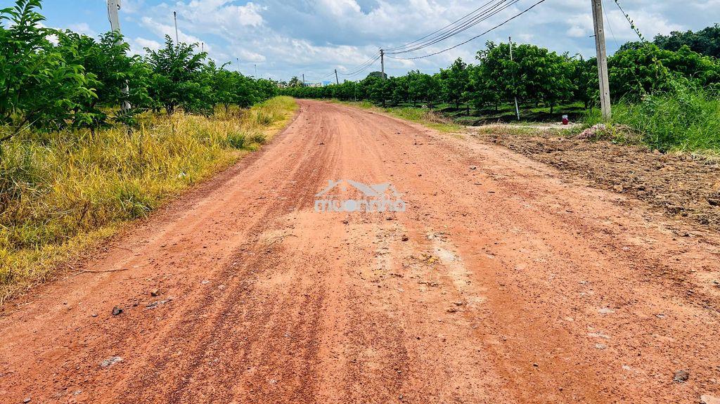 Bán 1000m2 đất gần mặt tiền đường đt785 - 2