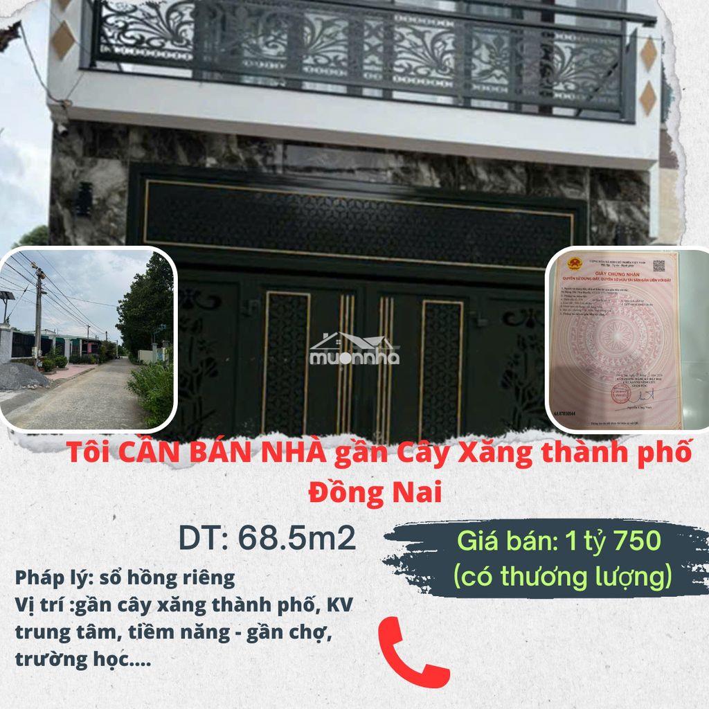 Tôi cần bán nhà phố cây da, tân triều đồng nai - Ảnh 3