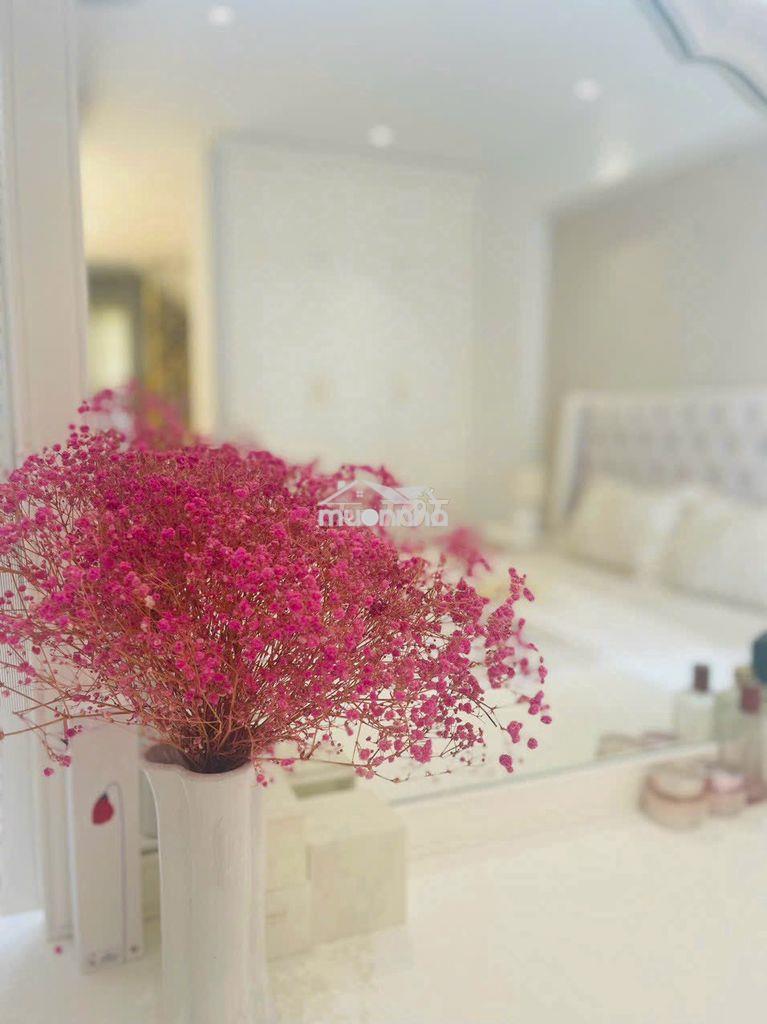 Nhà phố đặng văn ngữ - phú nhuận - Ảnh 4