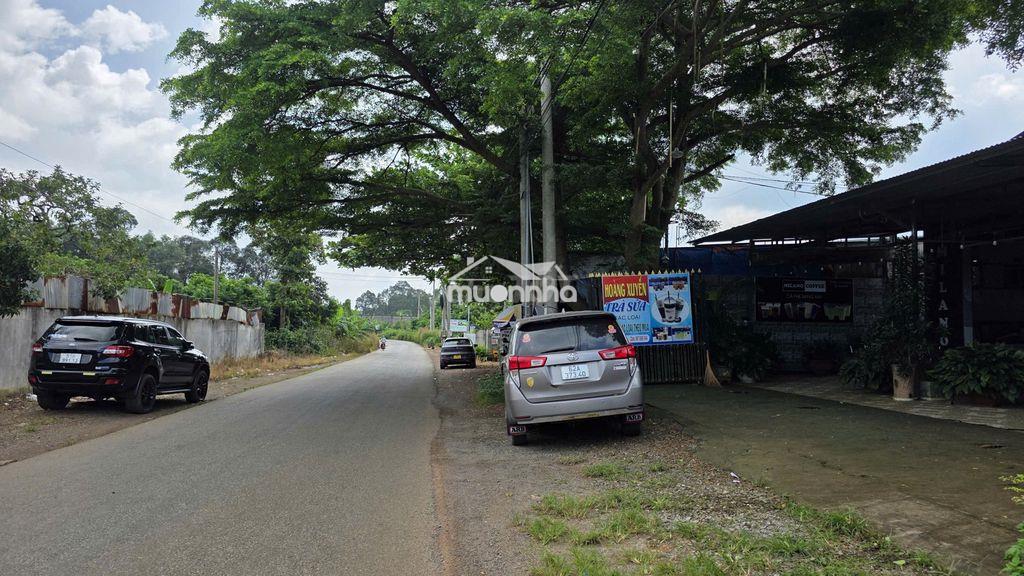 Đất vườn view hồ trị an – cách tp.hcm chưa đến 70km- 4000m2-980 triệu - Ảnh 3