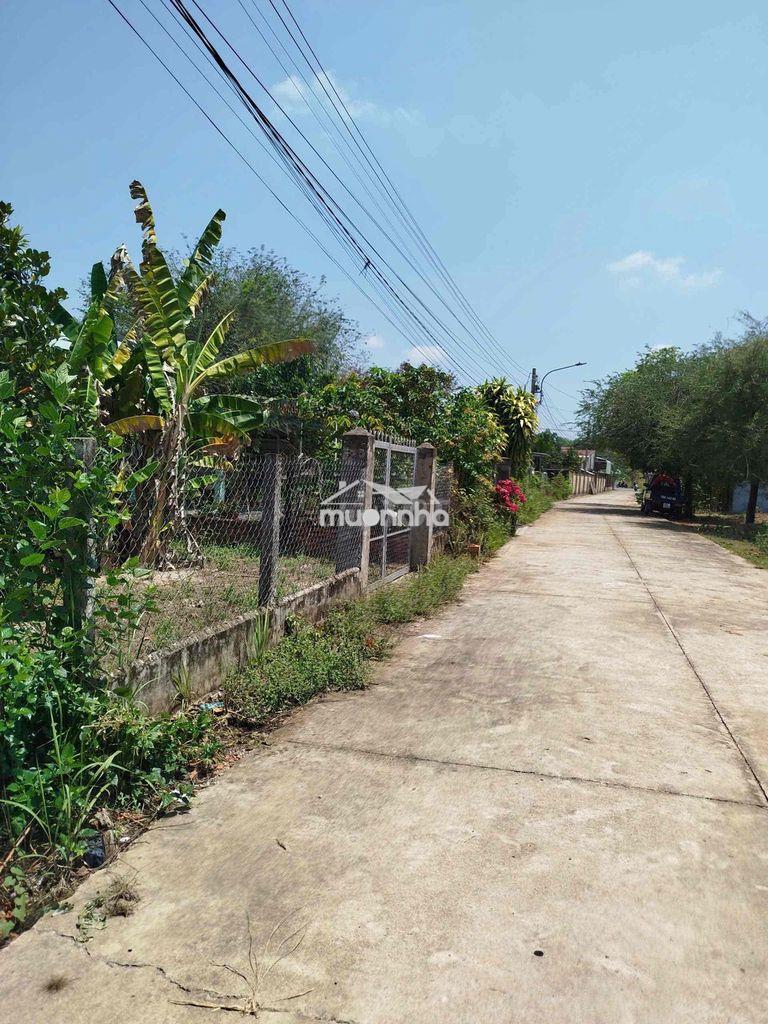 Bán gấp lô đất vườn 1073m2 giá 380tr ngay ubnd an linh - Ảnh 3