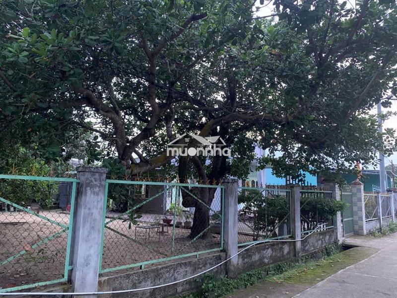 Bán đất view dự án núi chứa chan đang xây dựng