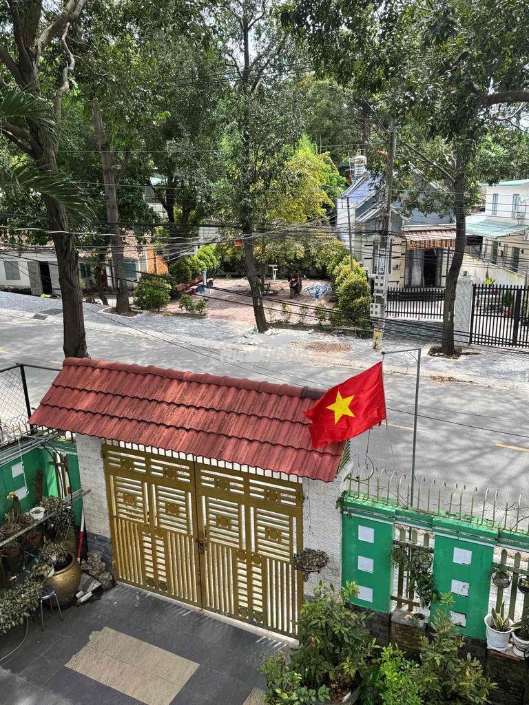 Chính chủ bán nhà mt nguyễn tri phương tdm, sổ riêng hoàn công - Ảnh 3