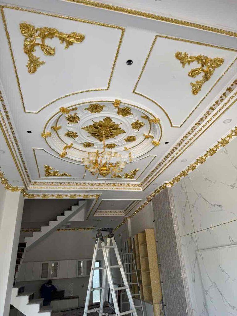 Cho thuê biệt thự mới 4pn 100% phú tân gần thành phố mới bình dương,l - Ảnh 2