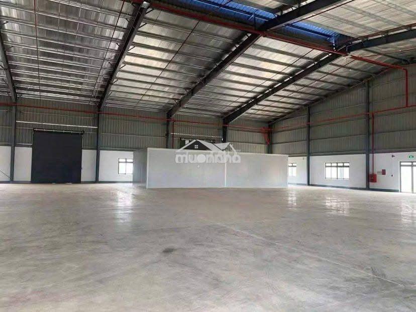 Cho thuê kho 300 m2 mới xây gần chợ an thới tiện chứa hàng - Ảnh 2