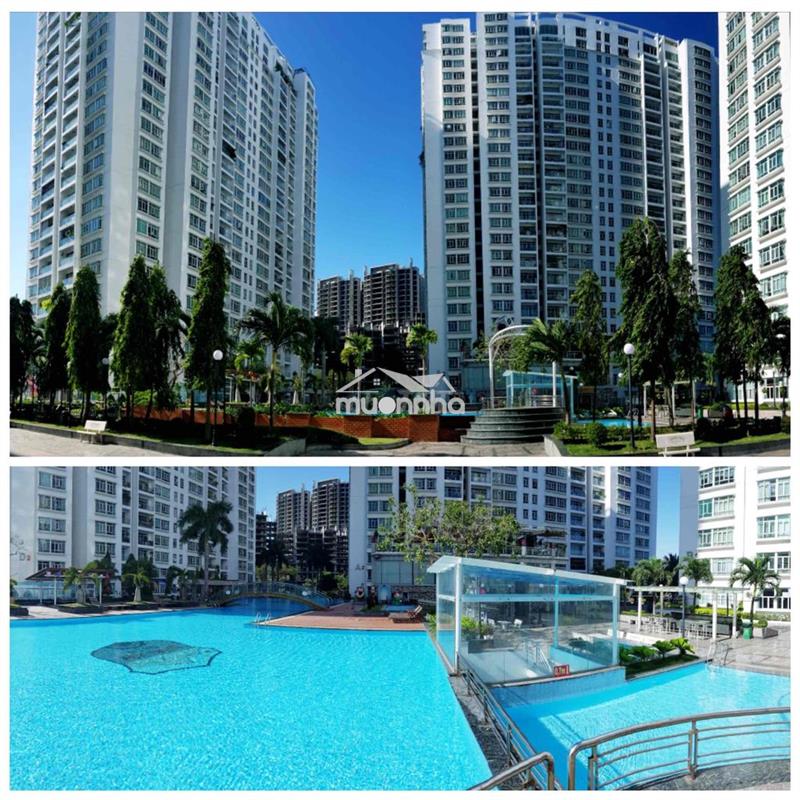 P 5tr giảm còn 4.5tr full nội thất trong căn hộ cao cấp gần vivo city