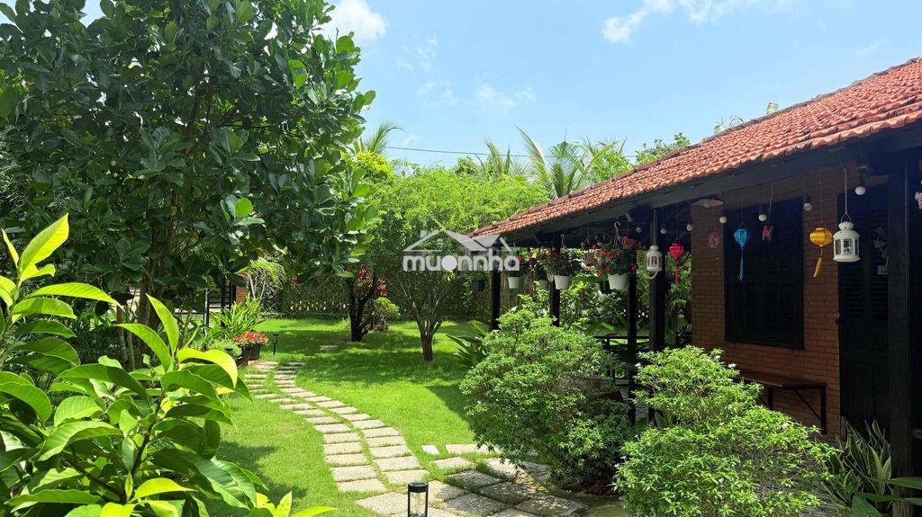 Nhà vườn trong khu đẹp hoài niệm - Ảnh 3