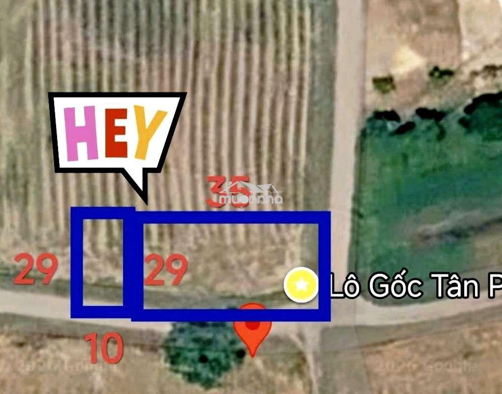 Đất xã tân phú, đúc hòa, long an giá tốt - Ảnh 3