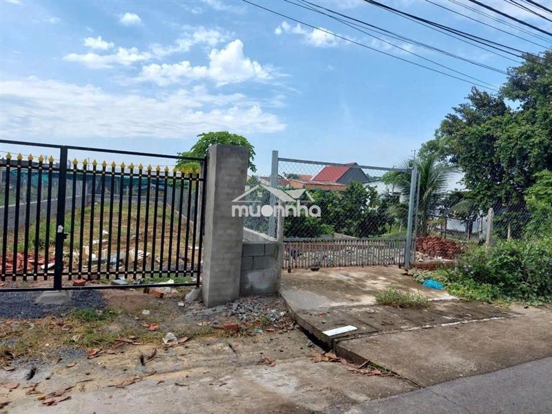 Chủ kẹt tiền bán gấp giá 550triệu/212m2, đường nhựa 20m, tân thông hội